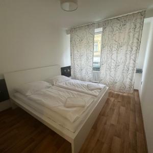 Budget Dlouha Apartment