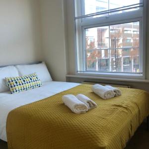 Bright and Cozy Entire Flat Near Euston Station and UCL Hospital