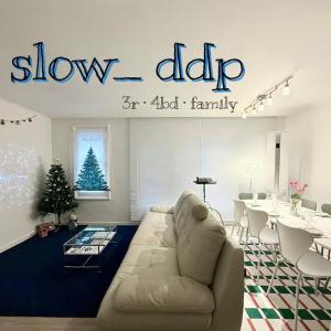 Slow ddp