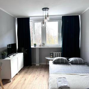 Studio in the Center - Prime Location