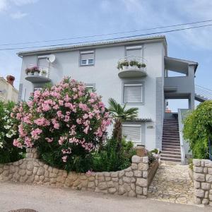 Apartments PAna