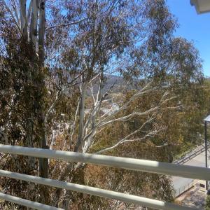Inala 3 - Thredbo