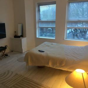 Top floor 1 bedroom, Princes Avenue