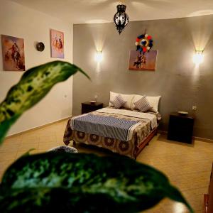 The Pearl of The Kasbah With a Terrace and breakfast-Entire House