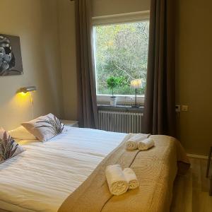 Aurora Bed & Breakfast