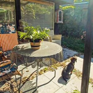 Nice Home In Warmenhuizen With Wifi