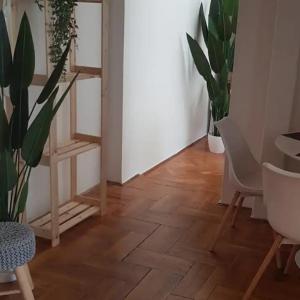 Cozy flat near Kazinczy downtown