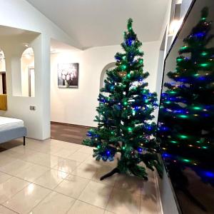 Modern Comfort In The Centre Of Riga!