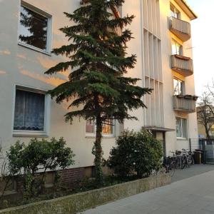 Design-Apartment
