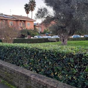 La Mattina - Fiera di Roma - Aeroporto Fiumicino