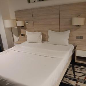helnan royal hotel دبي