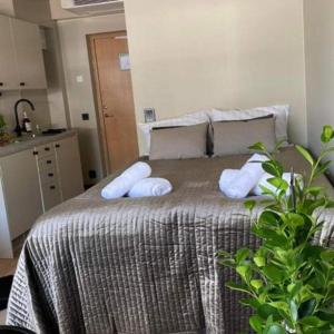 Small Double Room in Sölvesborg