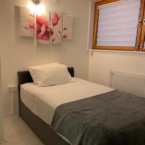 Chelsea best apartment for females only