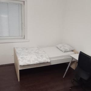 Single room in student apartment