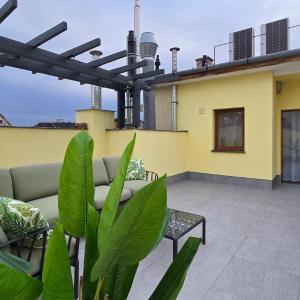 Rooftop Serenity Apartments