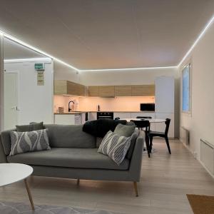 Modern and spacious apartment with a separate bedroom