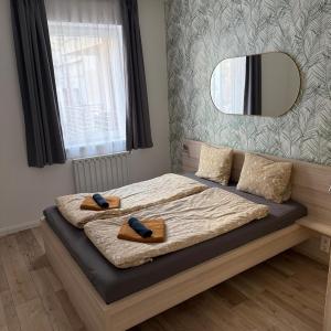 Nature Vibes Premium Central Apartment with Rooftop
