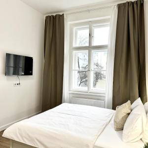 Cozy One-Room Apartment in heart of Prague