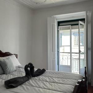 Lisboa Príncipe Real Home - Casa de Hóspedes - By Grupo Lisboa Alojamentos
