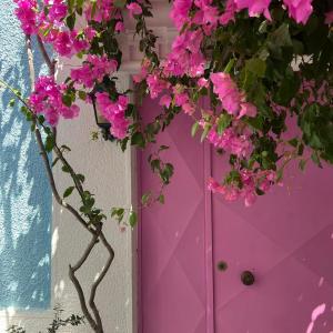 Casa Magnolia Boutique Rooms