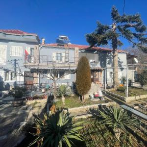 Vila Tradicionale Violeta Korce