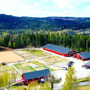 Come to stay at our beautiful Horse Farm!