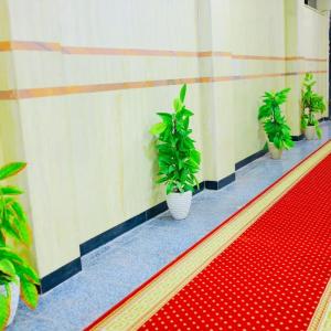 رويال بالاس
