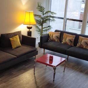 3 bedrooms apartment Paris 16 - Michel Ange