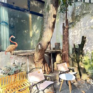 villa with perfect garden in XUHUI nearby art museum