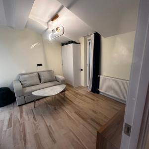 X2 apartment Bakuriani
