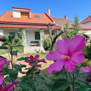 Kovács Guesthouse - Budapest