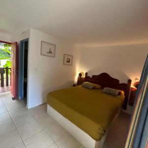 Studio palmiers royaux
