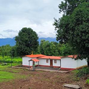 Kittu's Farm