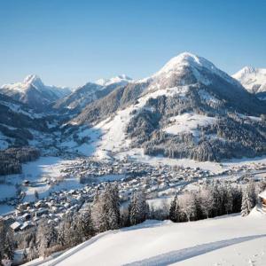 Apartment in Kirchberg near Ski Lift