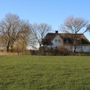 Poppenbüll thatched house
