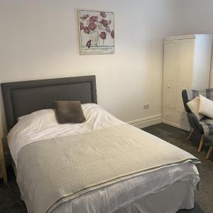 Comfortable Norton Studio