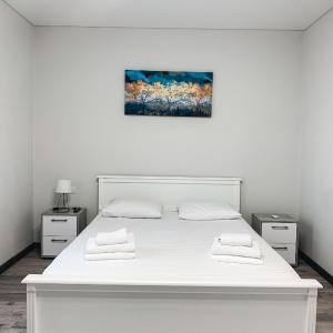 Apartments Domovik Mira 11s/20
