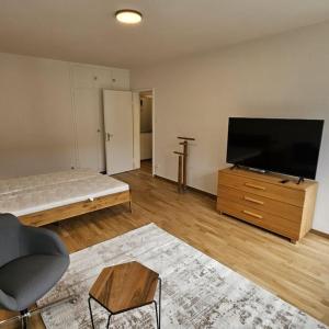 Cozy studio near train station - Wille 7