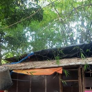 Payag Ni Bodeng