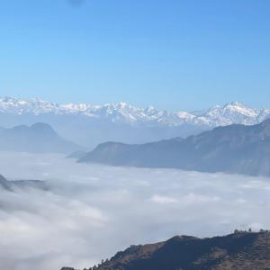 Deodar Abode