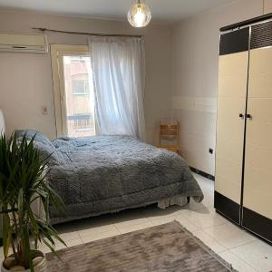 luxury home Nasser city