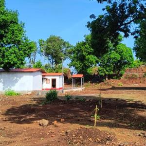 Kittu's Farm