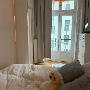 Compact one-bedroom apartment in Taka-Töölö