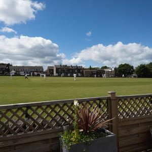 Cricketers View