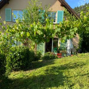 Ferienwohnung Kräutergarten