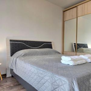 Spacious & Cozy Apartment