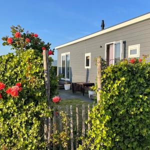 Bonboniera70 Renesse