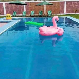 Heated pool, Casa Senda del Son-Cuautla