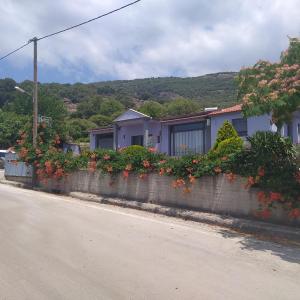 studios ARTEMIS GARDEN