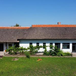 VizslaVilla